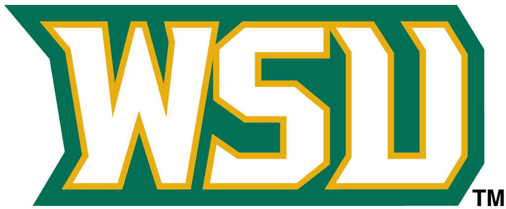 Wright State Raiders 2001-Pres Wordmark Logo v4 DIY iron on transfer (heat transfer)